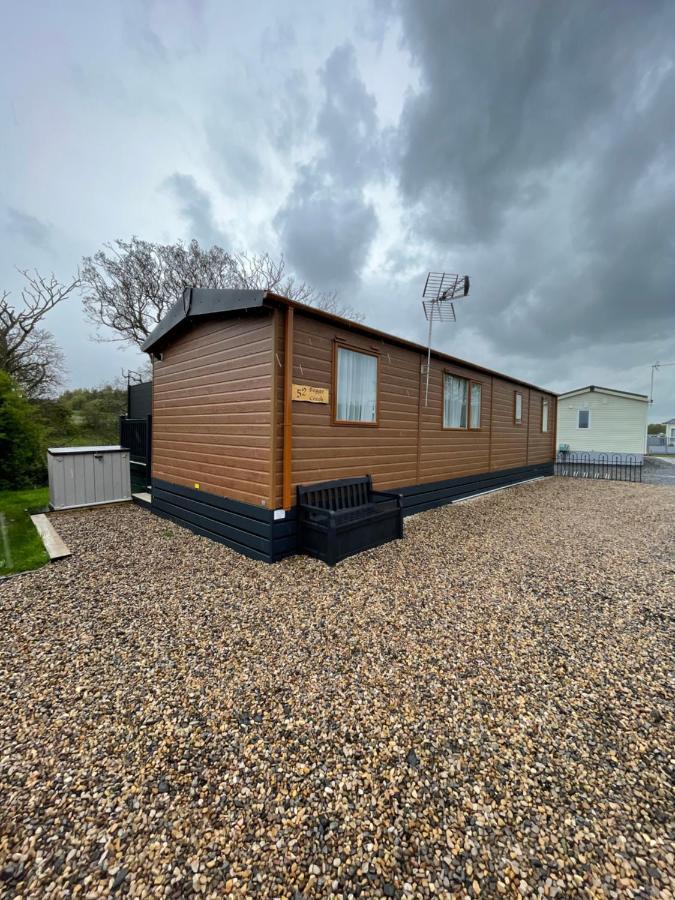 Boggy Creek - Lodge With Hot Tub Felton  Exteriér fotografie